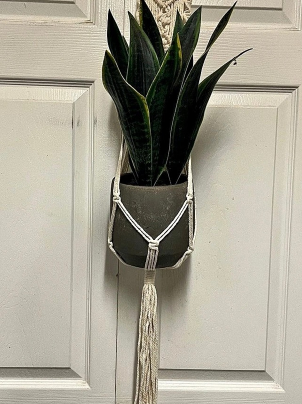 UNBRANDED Cream Cotton Macrame Plant Holder